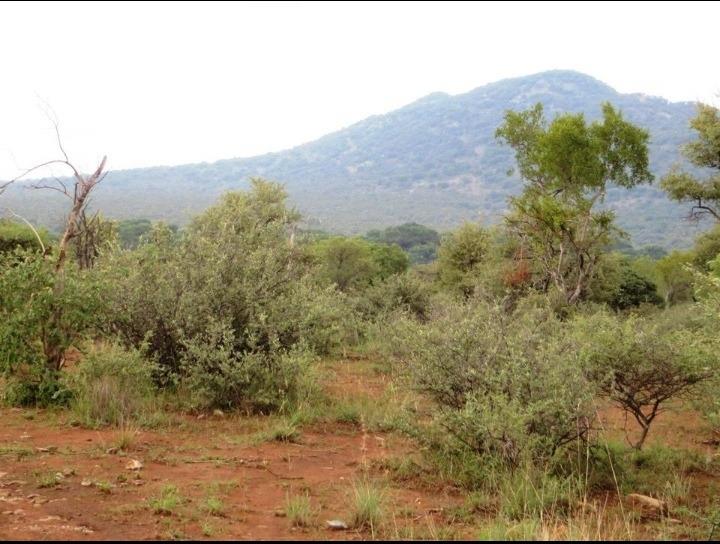 Commercial Property for Sale in Brits North West